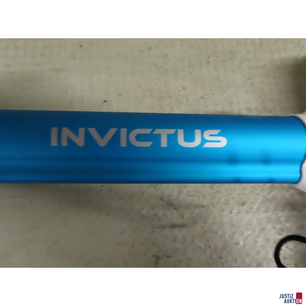 Staubsauger Invictus