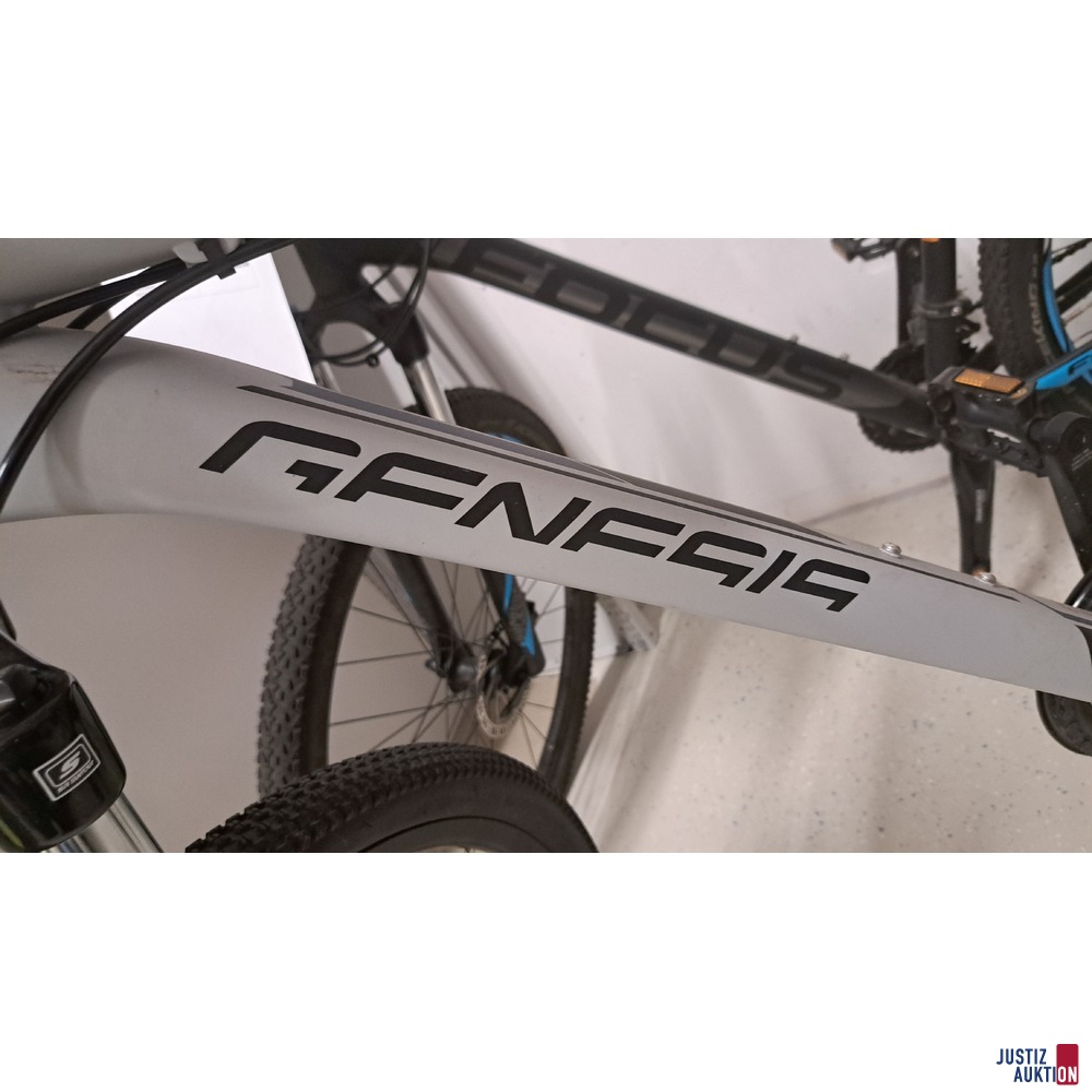 Mountainbike Marke Genesis 29 Series