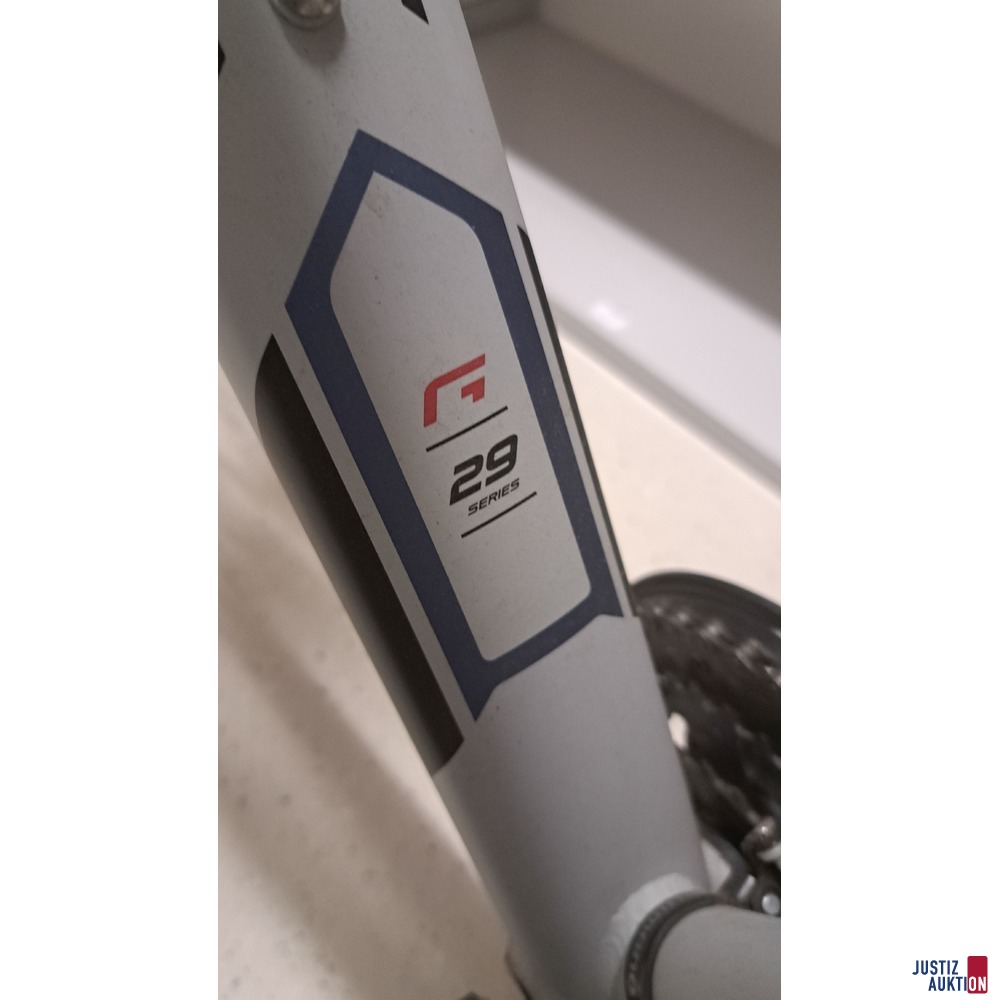 Mountainbike Marke Genesis 29 Series