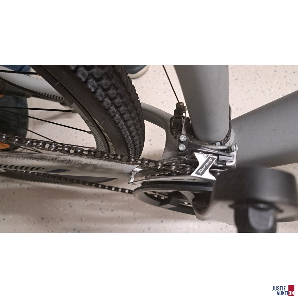Mountainbike Marke Genesis 29 Series