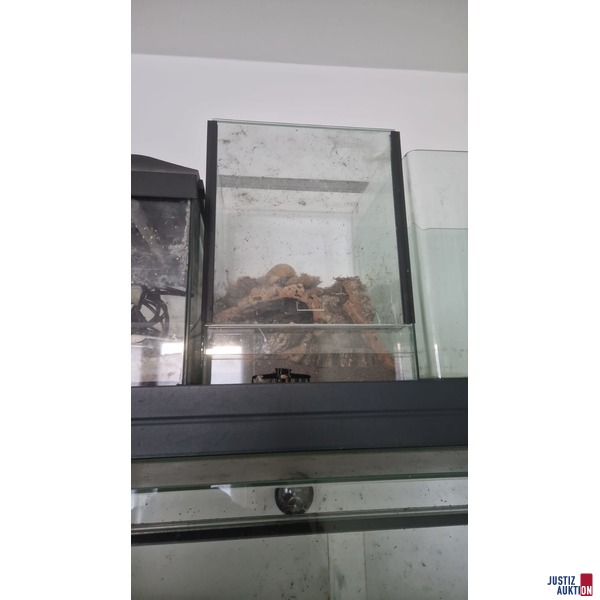 Terrarium 4