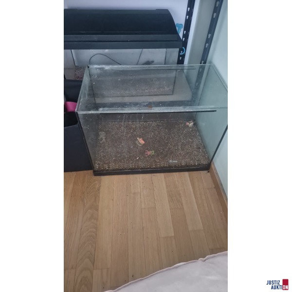 Terrarium 1