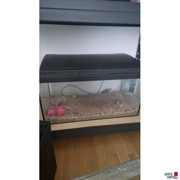 Terrarium 2