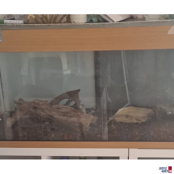 Terrarium 5