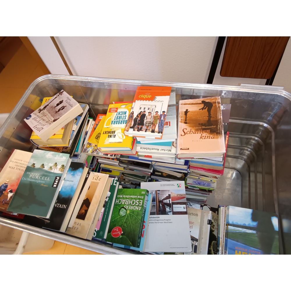 Bücherauswahl vier