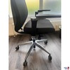 Ergotopia MasterBack Executive