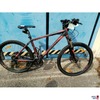 Fahrrad Gigant grau rot
