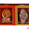 Ice-watch