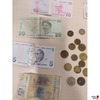 Lot bestehend aus Banknoten (8x) und Münzen (14x) diverser Länder