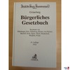 Grüneberg, 81. Aufl.