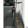 Frontal