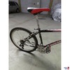 Mountainbike Rockadile Mongoose Pro