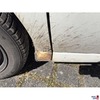 Rost