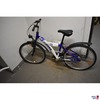 Fahrrad von der Seite