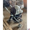Buggy seitlich