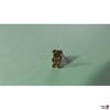 Ohrstecker