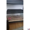 Terrarium 2