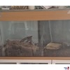 Terrarium 5