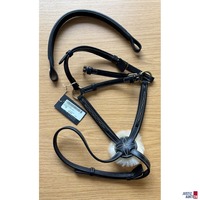 Wechselnasenriemen&sol;Stirnriemen