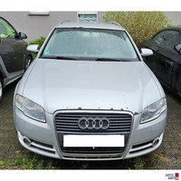 Motorhaube Rost und Kratzer