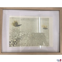 Farblithografie auf Büttenpapier