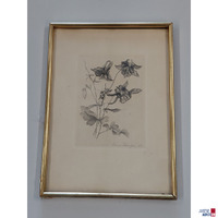 Bild - Botanische Studie mit K&auml;fer
