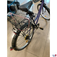 Fahrrad Dinotti Highway