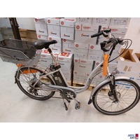 E-Bike der Marke Recovery &quot;Flying Cranes&quot;  - 26“