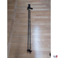 1 Paar Laufstöcke Hagan Speed Touring 130 cm lang
