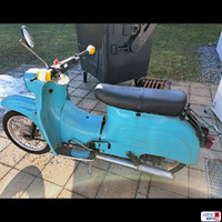 Schwalbe linke Seite