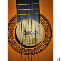 Startone Gitarre