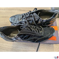 cinti 1