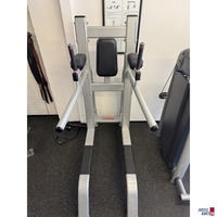Leg Raise &sol; Dip-Rack-Ger&auml;t