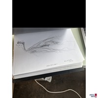 18 Bücher mit 50 mit Zeichnungen