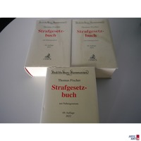 Thomas Fischer 69. Auflage