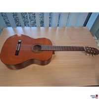 Gitarre