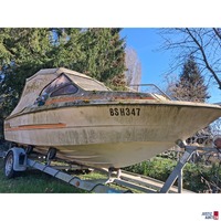 Kaj&uuml;tboot mit Trailer