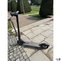 Roller ganz