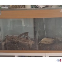 Terrarium 5